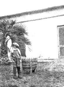 Missing image.