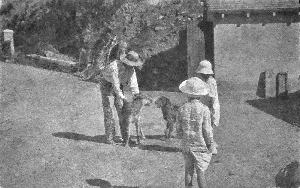 Missing image.