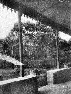 Missing image.