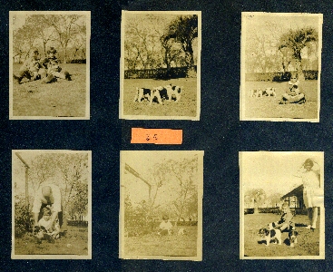 Missing image.
