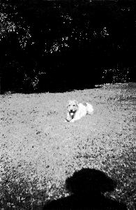 Missing image.