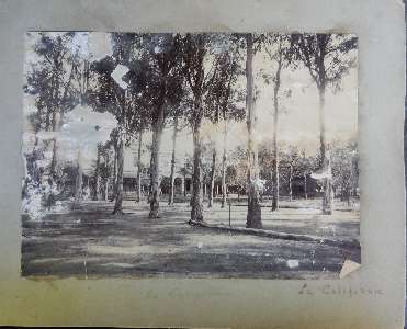 Missing image.